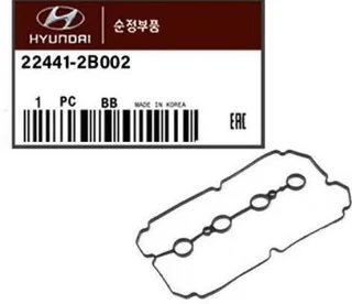 واشر درب سوپاپ | Hyundai/KIA Genuine Parts | 22441 2B002